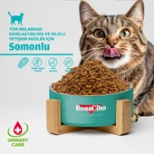 BonaCibo Adult Cat Sterilised Somonlu 2 Kg thumbnail 4