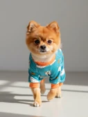 Puggy Pie Köpek Pijama Tulum | Küçük Irk Pamuklu Köpek Tulumu | Tüy Dökülmesini Azaltır | Penye Dog Pajamas thumbnail 8
