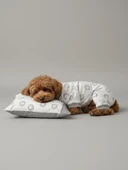 Soft Lion Köpek Uyku Takımı | Pamuklu Penye Köpek Tulumu ve Mini Yastık | Küçük Irklar İçin | Tüy Dökülmesini Azaltır thumbnail 1