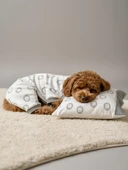 Soft Lion Köpek Uyku Takımı | Pamuklu Penye Köpek Tulumu ve Mini Yastık | Küçük Irklar İçin | Tüy Dökülmesini Azaltır thumbnail 5