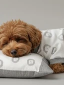 Soft Lion Köpek Uyku Takımı | Pamuklu Penye Köpek Tulumu ve Mini Yastık | Küçük Irklar İçin | Tüy Dökülmesini Azaltır thumbnail 2
