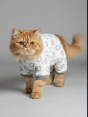 Soft Lion Kedi Uyku Seti | Penye Kedi Tulum ve Mini Yastık Takımı | Pamuklu | Tüy Dökülmesini Azaltır | thumbnail 6