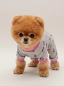 Minnie Köpek Tulumu | Pamuklu Penye Köpek Pijaması | Gri Pembe Desenli | Tüy Dökülmesini Azaltır | Küçük Irklar İçin thumbnail 5