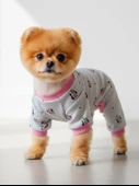 Minnie Köpek Tulumu | Pamuklu Penye Köpek Pijaması | Gri Pembe Desenli | Tüy Dökülmesini Azaltır | Küçük Irklar İçin thumbnail 1