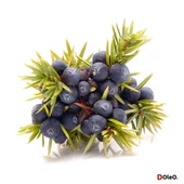 Ardıç Yağı (Ardıç Tohumu Yağı) - 50 mL thumbnail 2