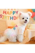 CAZEO Köpek Elbisesi Doğum Günü – It’s My Birthday Yazılı - Renkli Tül Etekli - Parti Kıyafeti thumbnail 2