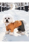 CAZEO Köpek Kıyafeti - Kapüşonlu Kışlık Tulum - Turuncu - M Beden thumbnail 5