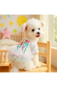 CAZEO Köpek Elbisesi Doğum Günü – It’s My Birthday Yazılı - Renkli Tül Etekli - Parti Kıyafeti thumbnail 5