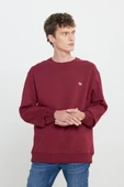 Regular Fit Bisiklet Yaka İçi Polarlı Sweatshirt Lee thumbnail 1