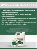 Royal İlaç Ovisol Sheep&goat Koyun ve Keçi Yem Katkısı 5 Lt thumbnail 1