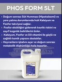 Royal  Phos Form  Kanatlılarda Gagalama, Amino Asit Desteği ile Gelişim 5 lt thumbnail 1