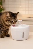 Kedi ve Köpekler İçin Otomatik Su Pınarı Su Çeşmesi thumbnail 1