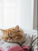 Pembe Minnie Kedi Uyku Seti | Penye Kedi Tulum ve Mini Yastık Takımı | Pamuklu | Tüy Dökülmesini Azaltır | thumbnail 7