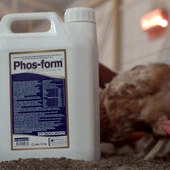 Royal  Phos Form  Kanatlılarda Gagalama, Amino Asit Desteği ile Gelişim 5 lt thumbnail 3