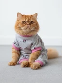 Pembe Minnie Kedi Uyku Seti | Penye Kedi Tulum ve Mini Yastık Takımı | Pamuklu | Tüy Dökülmesini Azaltır | thumbnail 4