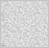 9311 ARMİNE EŞARP thumbnail 7