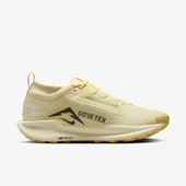 Nike Pegasus Trail 5 GORE-TEX    FQ0908-700 thumbnail 1