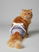 Princess Lila Dişi Kedi Regl Külotu | Kedi Donu | Kedi İç Çamaşırı | Ayarlanabilir Bağcıklı | Küçük Irklar İçin thumbnail 6