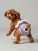 Princess Lila Dişi Köpek Regl Külotu | Köpek Donu | Köpek İç Çamaşırı | Ayarlanabilir Bağcıklı | Küçük Irklar İçin thumbnail 6