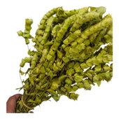 Anamur Adaçayı Demet (150 gr/35-40 Adet) thumbnail 2