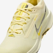Nike Pegasus Trail 5 GORE-TEX    FQ0908-700 thumbnail 6