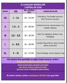 Frilly Red Dişi Kedi Regl Külotu | Kedi Donu | Kedi İç Çamaşırı | Ayarlanabilir Bağcıklı | Küçük Irklar İçin thumbnail 3