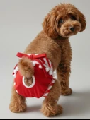 Red Frilly Dişi Köpek Regl Külotu | Köpek Donu | Köpek İç Çamaşırı | Ayarlanabilir Bağcıklı | Küçük Irklar İçin thumbnail 1