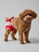 Red Frilly Dişi Köpek Regl Külotu | Köpek Donu | Köpek İç Çamaşırı | Ayarlanabilir Bağcıklı | Küçük Irklar İçin thumbnail 5