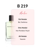 SCANDIVE thumbnail 2