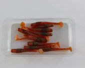 LUCKY JOHN TIOGA 2'' 085 SİLİKON YEM thumbnail 1