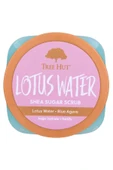Tree Hut Lotus Water Shea Sugar Scrub Vücut Peelingi 510GR thumbnail 3