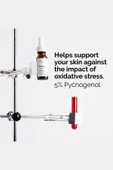 The Ordinary Pycnogenol 5% Serum 15ML thumbnail 4