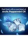 Oral-B Glide Arctic Peppermint Oil Çatal Diş İpi Kürdanlı 75 Adet thumbnail 8