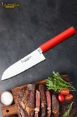Asia Serisi Mutfak Bıçak Santoku Şef Bıçağı Et Ekmek Sebze Salata Şef Bıçağı HDS-20 thumbnail 1