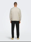 22030384 ONSDAN UNBRUSHED REG CREW NECK SWEAT VD thumbnail 8