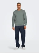22030384 ONSDAN UNBRUSHED REG CREW NECK SWEAT VD thumbnail 3