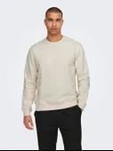 22030384 ONSDAN UNBRUSHED REG CREW NECK SWEAT VD thumbnail 6