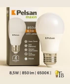 Pelsan LED Lamba 6500K Beyaz Işık thumbnail 1