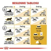 Royal Canin British Shorthair İçin Özel Irk Yetişkin Kedi Maması 400 gr thumbnail 2