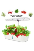 Hidroponik Topraksız 12 Bölme Bitki Yetiştirme Kiti 3 Mod 139 LED Tam Spekturum Bahçe Kit thumbnail 6