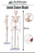 İskelet Sistemi Maketi 85 cm 1 Adet İnsan İskelet Modeli Haraketli Eğitim İskelet Anatomisi İskelet Sistemi thumbnail 1