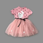 LitaeTrend 1-2-3 Yaş Payetli Kedicik Baskılı Puantiyeli Kız Bebek Elbisesi Gül Kurusu thumbnail 2