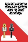 LitaeTrend Karaoke Mikrofon Dahili Hoparlörlü Sd-usb-aux Girişli Bluetooth Hoparlör thumbnail 2