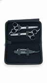 Point Profesyonel Çantalı 3'lü 6 İnç Düz Makas Ara Makas Ustura Seti Silver Gümüş thumbnail 1