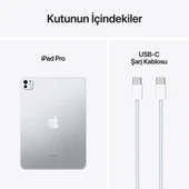 iPad Pro 7. Nesil Wi-Fi + Cellular 1 TB 11" MVW63TU/A Gümüş Tablet thumbnail 4