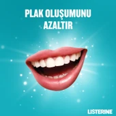 Listerine Cool Mint Hafif Tatlı Alkolsüz Ağız Bakım Suyu 500 ml – Plak ve Koku Önleyici, Nane Ferahlığı ile Uzun Süreli Etki thumbnail 3
