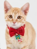 Christmas Candy Yılbaşı Kedi Papyon Tasması | Kırmızı Fiyonk Boyun Aksesuarı | Noel Temalı Kedi Süsü thumbnail 5