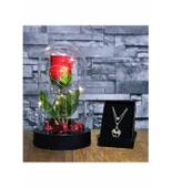 Sevgiliye Eşe Hediye Fanusta Işıklı Kırmızı Gül Kolye Seti Şeffaf Mika Fanus İçinde Gül Kolye Hediye Seti thumbnail 1