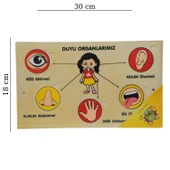 Ahşap Yapboz Duyu Organlarımız thumbnail 2