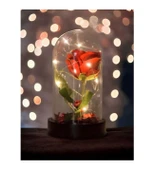 Sevgiliye Eşe Hediye Fanusta Işıklı Kırmızı Gül Kolye Seti Şeffaf Mika Fanus İçinde Gül Kolye Hediye Seti thumbnail 2